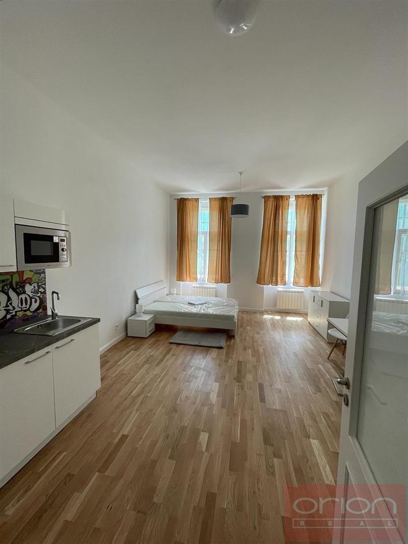 Apartment for rent: Praha 1 - Nové Město, Petrská