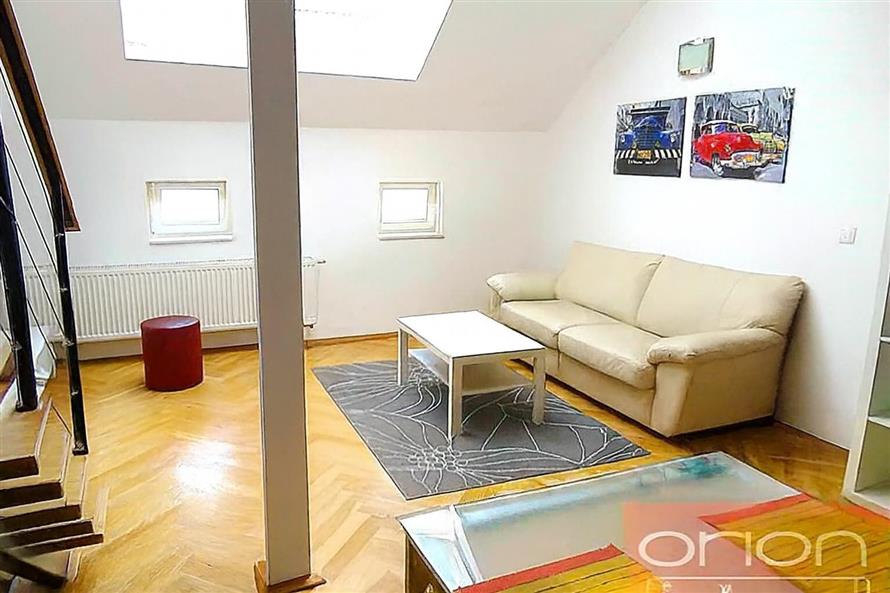 Furnished apartment with terrace for rent: Praha 2 - Vinohrady, Záhřebská