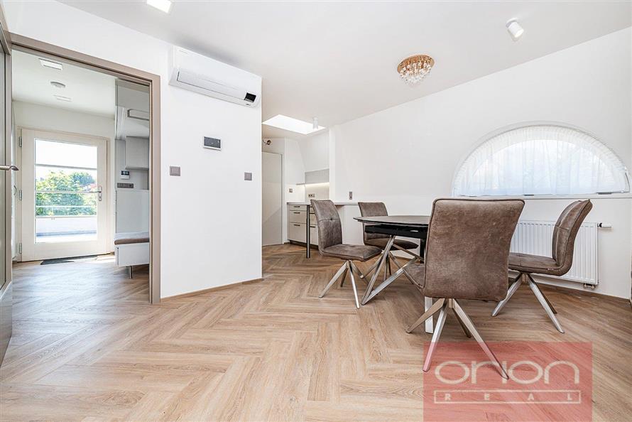 Apartment with a terrace and a parking space: Praha 6 - Dejvice, Na Viničních horách