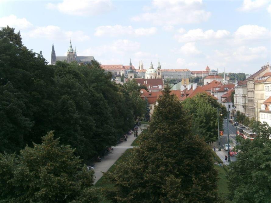 P7090065.JPG